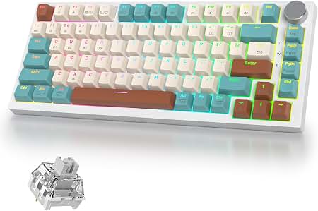 Visual Desk Reset: Aesthetic Ergonomic Mechanical Keyboard Upgrades for Peak Focus cover photo collage
