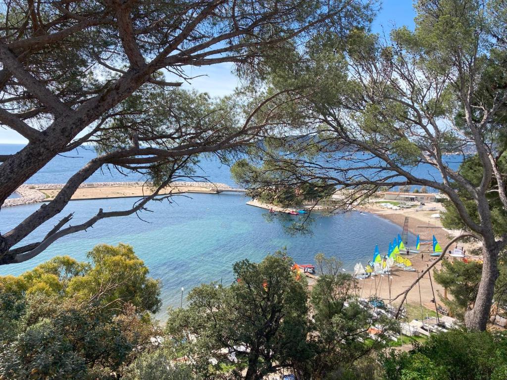 Sea Views, Little Discoveries & Relaxed Portside Walks Toulon, France cover photo collage