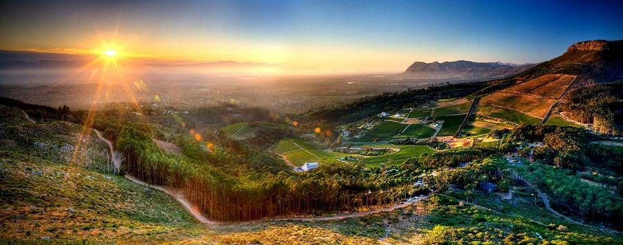 15 Wine Farms Near Cape Town So Beautiful You'll Forget About the Wine cover photo collage