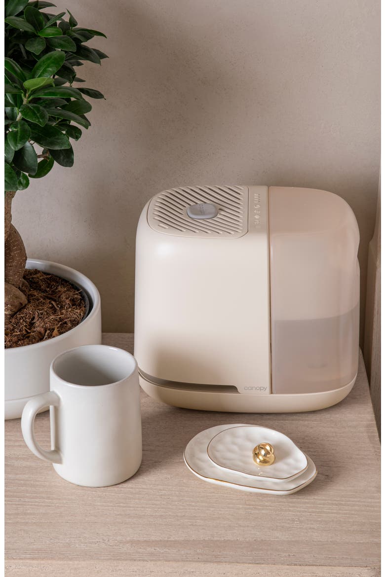 Winter Wellness Humidifiers, Light Therapy & Dry Skin Relief cover photo collage