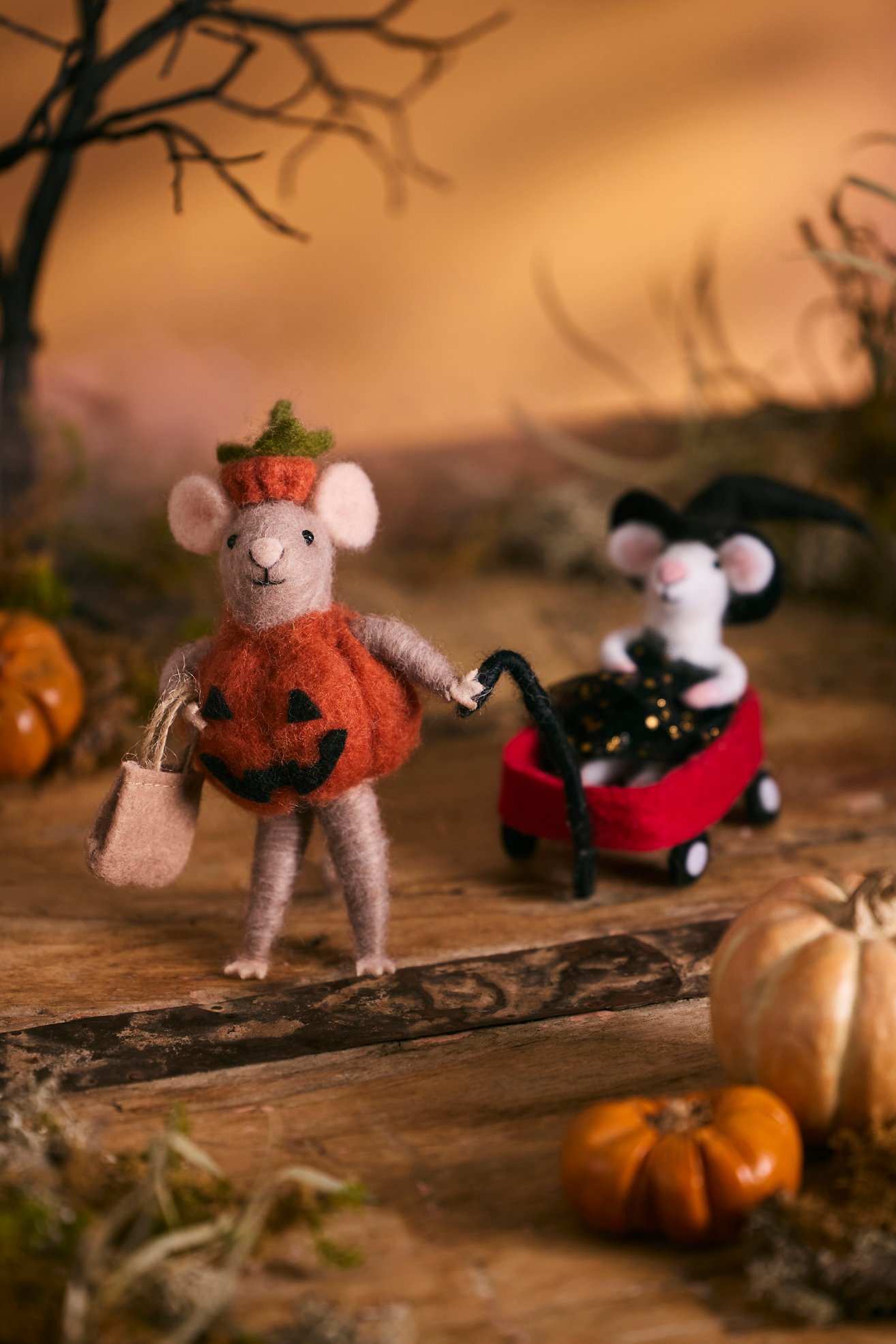 Cute Spooky/Halloween Finds cover photo collage