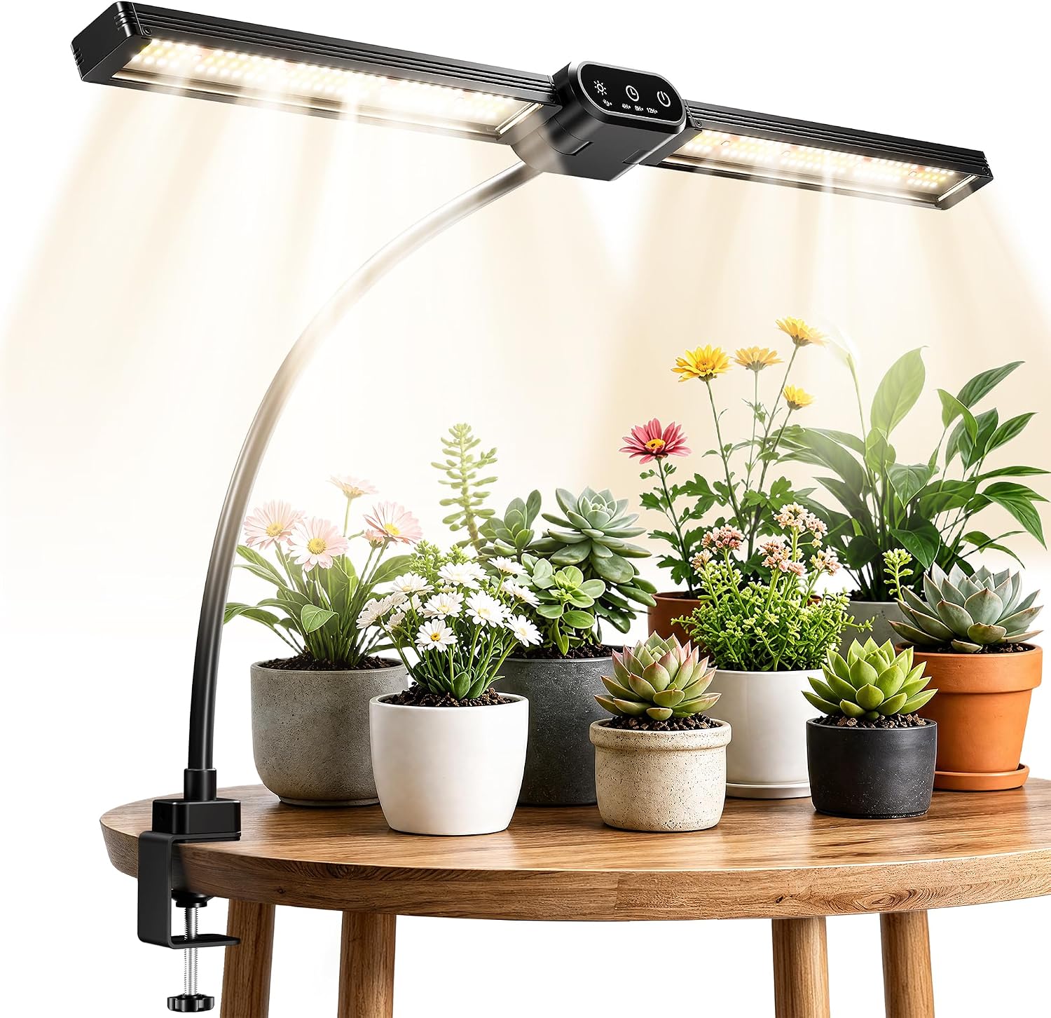 Houseplant Care Starter Kit: 16 Things That Keep Indoor Plants Thriving cover photo collage