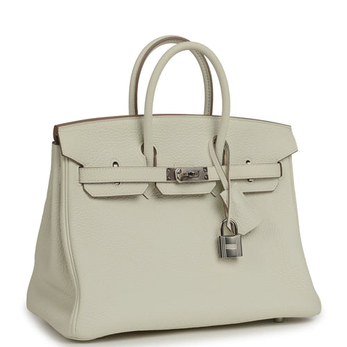 Top Luxury Bags — Timeless Styles & Most Wanted 2026 cover photo collage