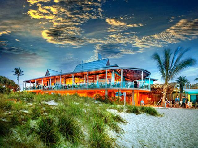 🦈 Venice & Nokomis: Shark Tooth Beaches, Downtown Eats & Gulf Sunsets cover photo collage