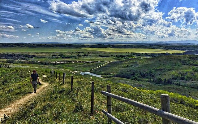 Local Love for Cochrane Alberta cover photo collage