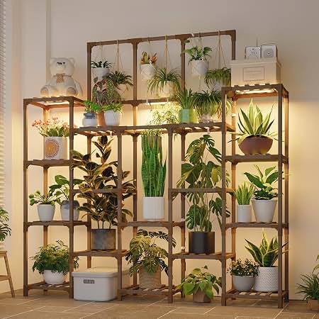 My favorite indoor plant supplies cover photo collage