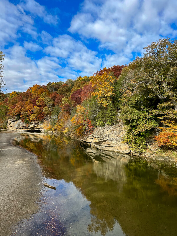 Camping at Turkey Run State Park (Indiana) cover photo collage
