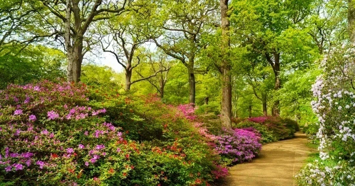 Charming Places to Stay for a Relaxing Getaway in Richmond, London, United Kingdom cover photo collage