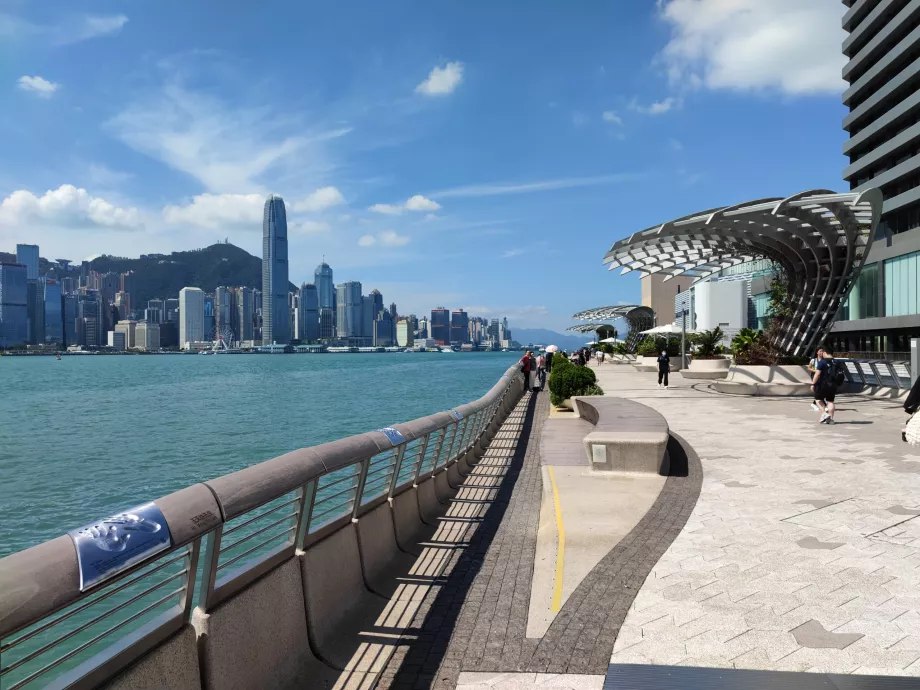 A Pleasant Place to Stay While Exploring the City in Yau Ma Tei, Hong Kong cover photo collage