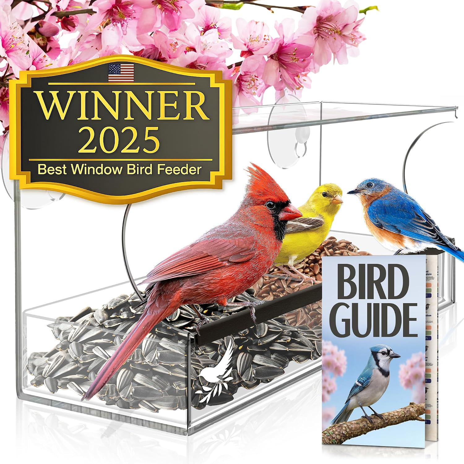 🐦 Backyard Bird Feeding Gear I Actually Use cover photo collage
