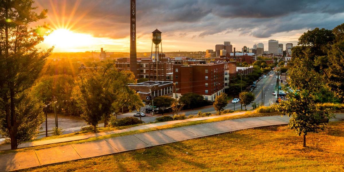 🏛️ Richmond's Fan, Church Hill, Jackson Ward, Carytown & Scott's Addition: Soul Food, Craft Beer & James River Classics cover photo collage
