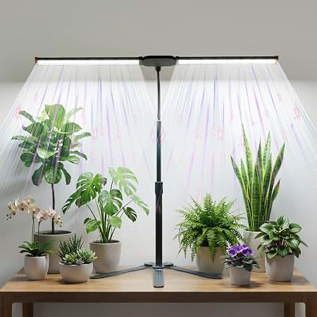 Houseplant Starter Kit: 18 Bestsellers for Green Thumbs (New & Nervous) 🪴 cover photo collage