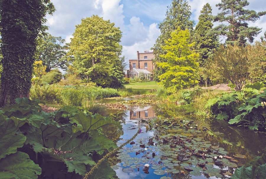 Cosy Hotel Experiences for a Memorable Getaway in Enfield, London, United Kingdom cover photo collage