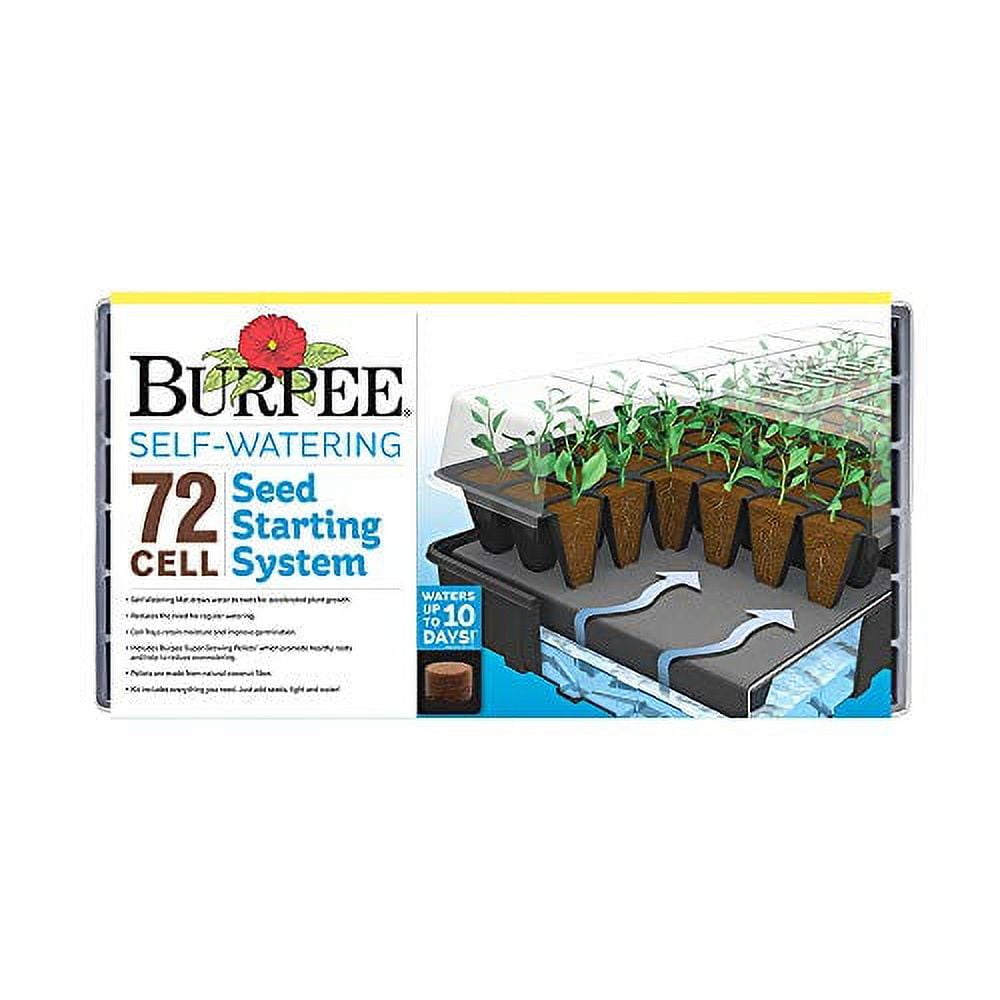 Seed Starting Kits That Stopped Me From Killing Every Seedling Each Spring cover photo collage