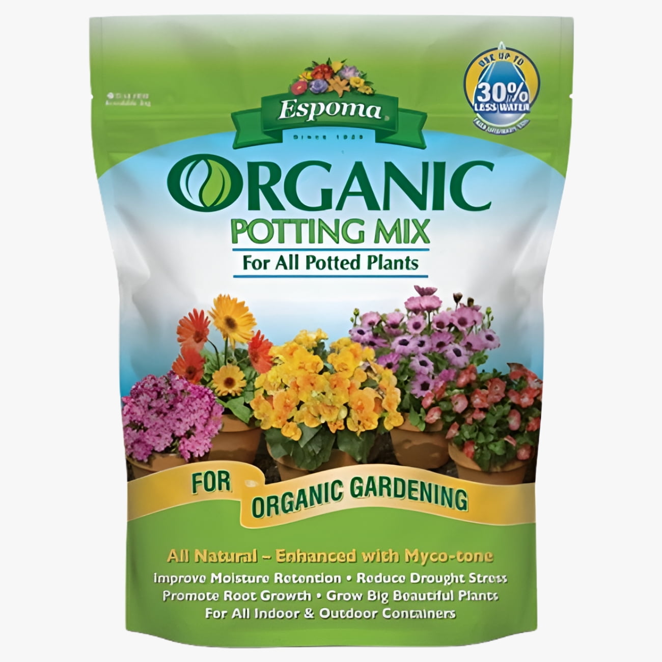 Container Gardening Finds That Saved My Sad, Empty Patio cover photo collage