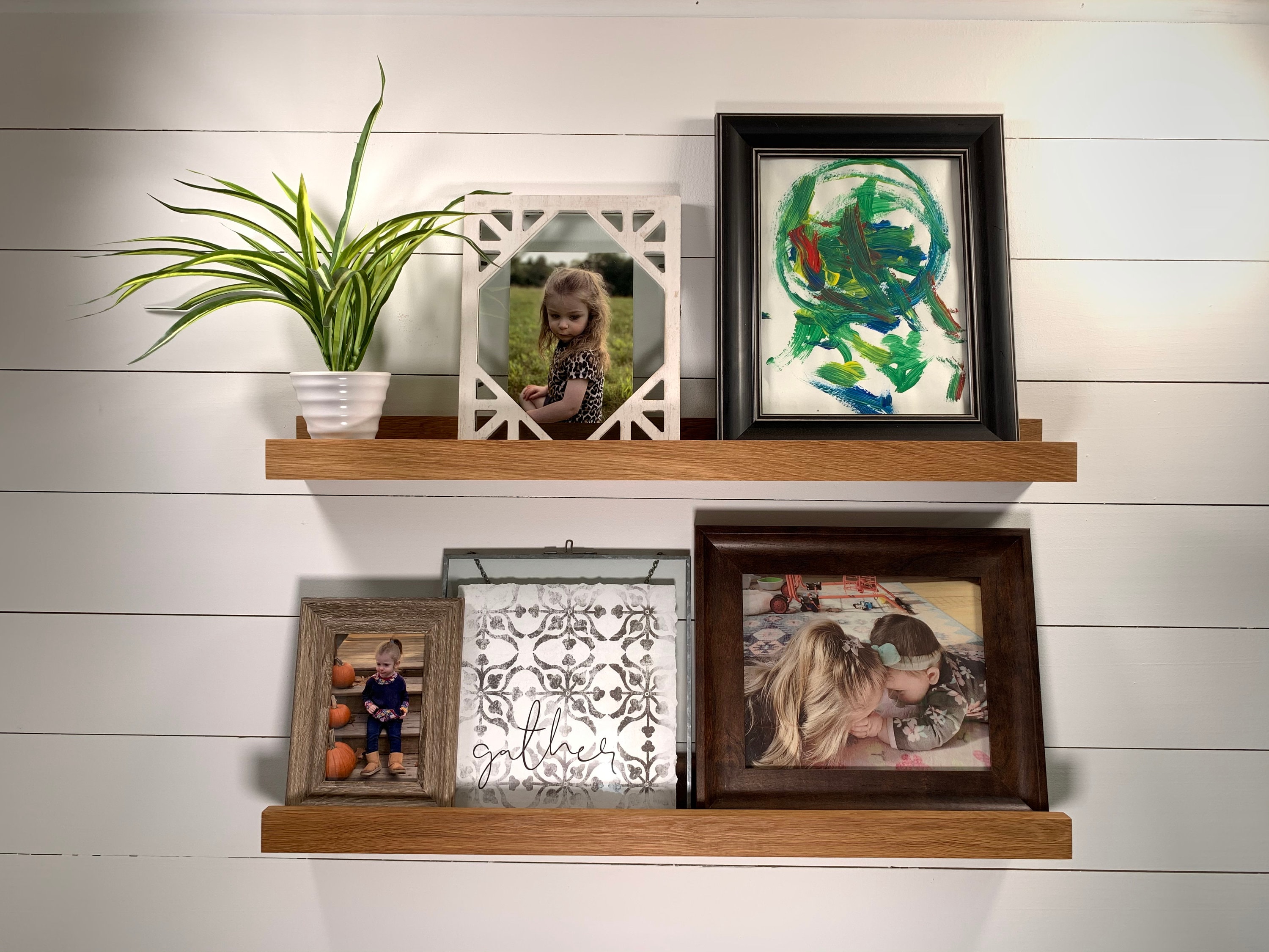 I Rearranged Everything by Color and Now My Shelves Look Like Art cover photo collage