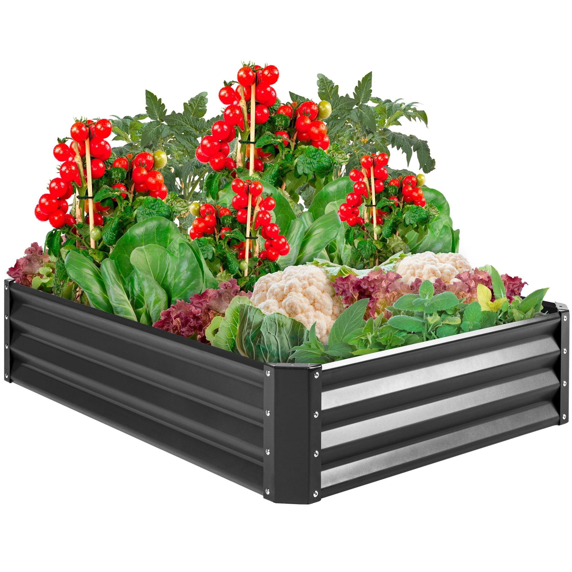 Raised Bed Kits I Wish I Had Before Killing My First Garden cover photo collage