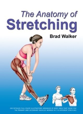 Ten Minutes of Stretching Changed Everything After I Found These cover photo collage