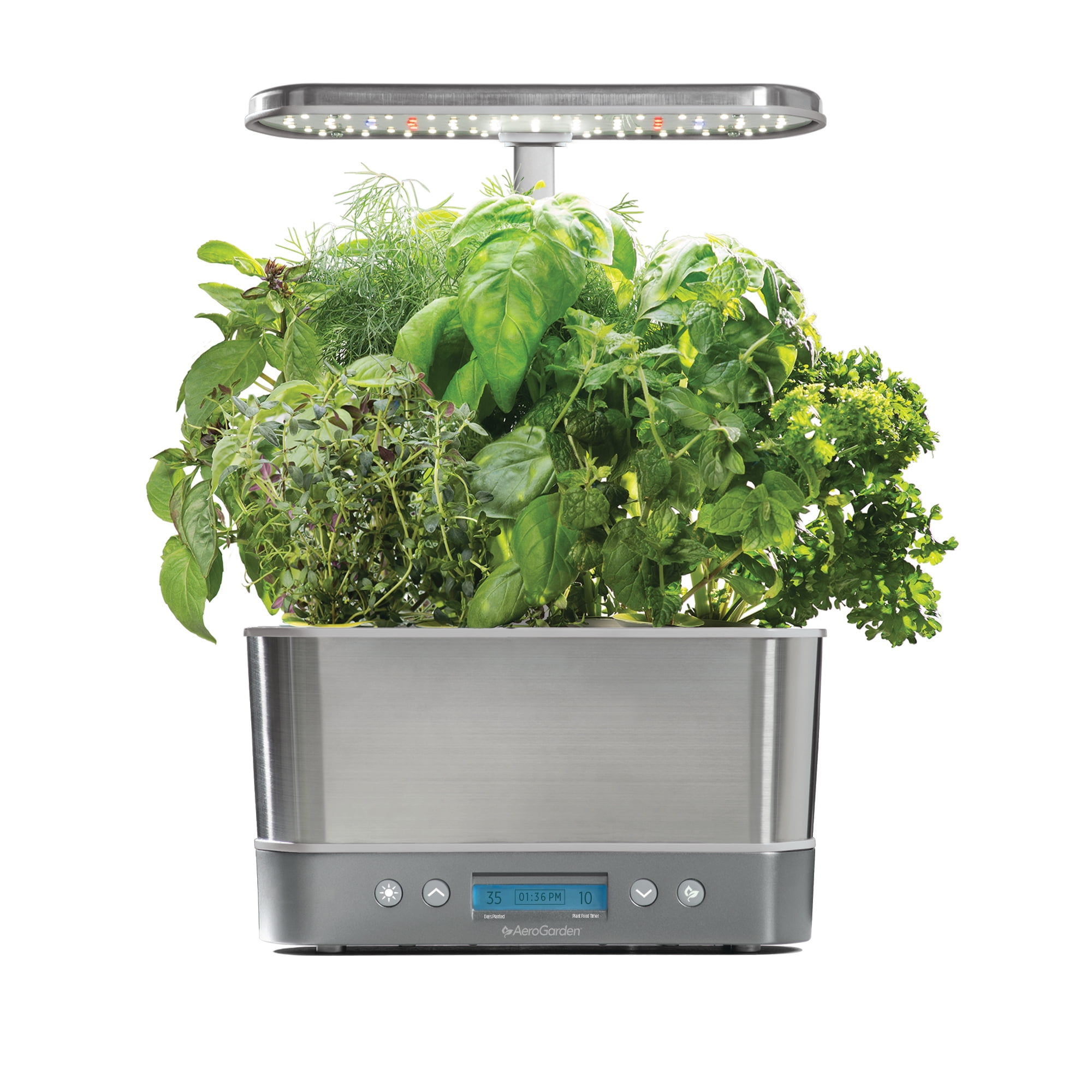 I Finally Found Kitchen Tools That Keep My Herbs Fresh for Two Weeks cover photo collage