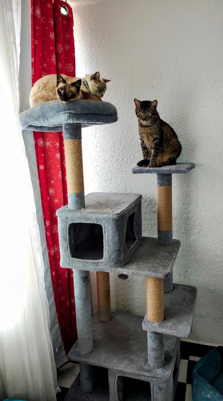 What My 9 Animals Actually Use: Supplies for 7 Cats & 2 Dogs cover photo collage