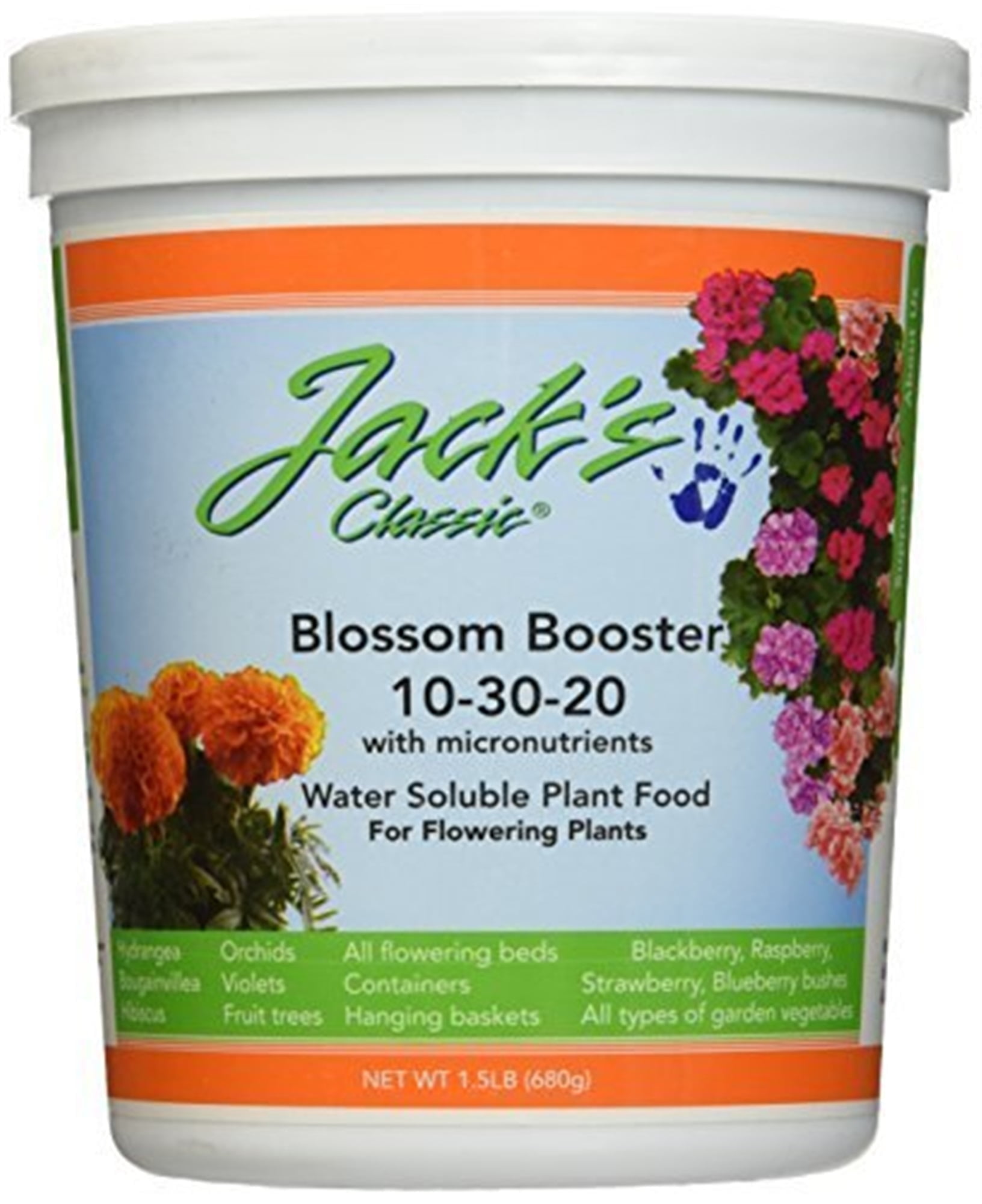 Plant Food Liquid I Add Monthly That Finally Stopped My Indoor Plants From Dying cover photo collage