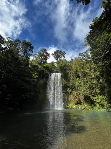 I Drove the Atherton Tablelands Waterfall Circuit and Packed These cover photo collage