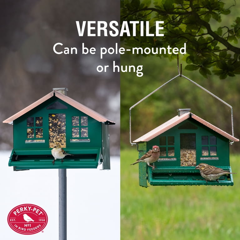Bird Feeders I Bought After Squirrels Destroyed Every One I Owned cover photo collage