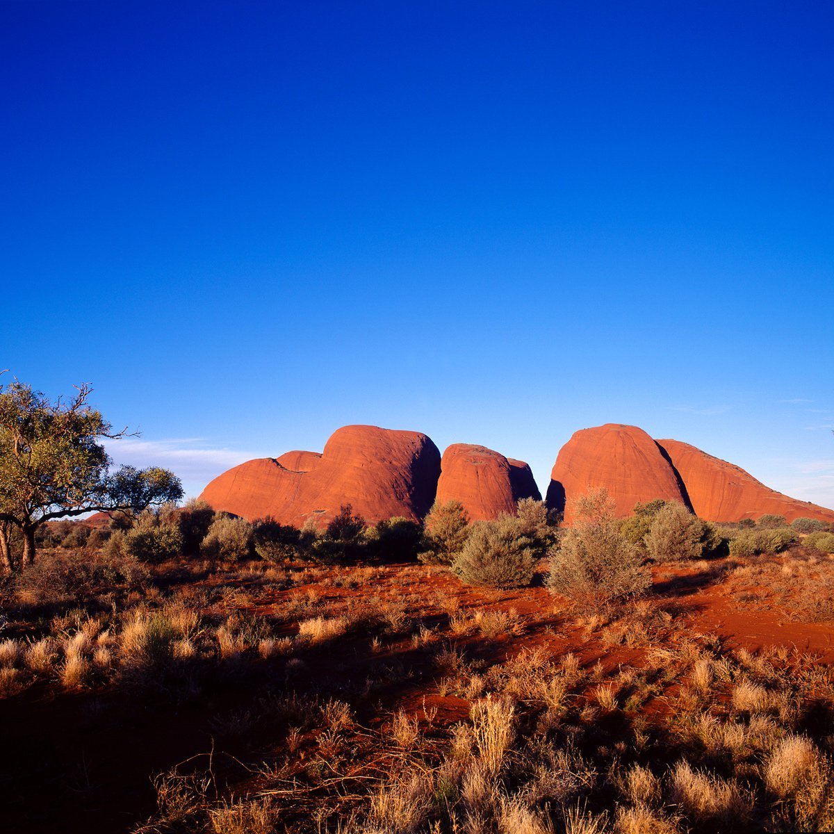 I Finally Did the Uluru Sunrise Walk and Here's What You Actually Need cover photo collage