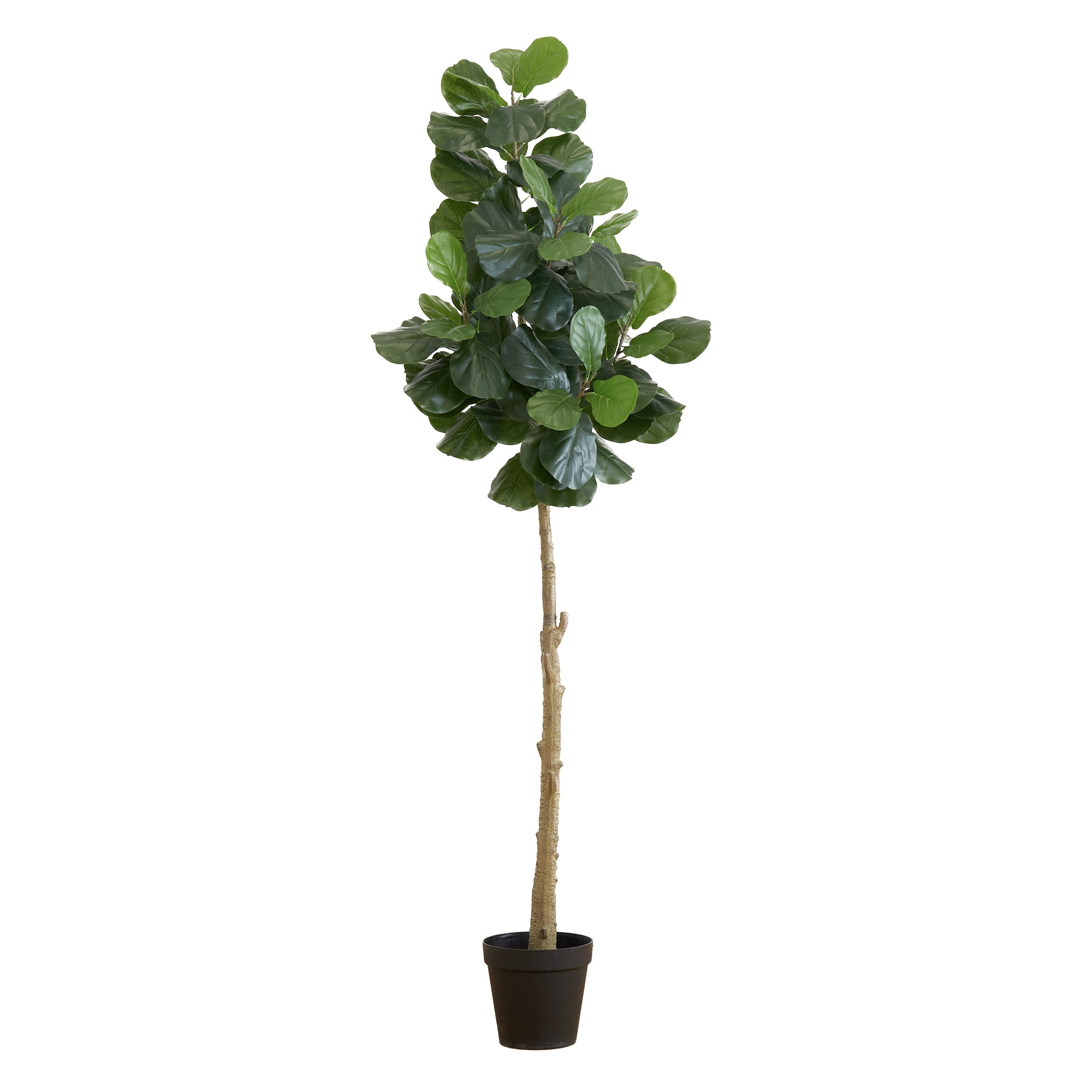 Faux Plants That Saved Me After I Killed Every Real One cover photo collage
