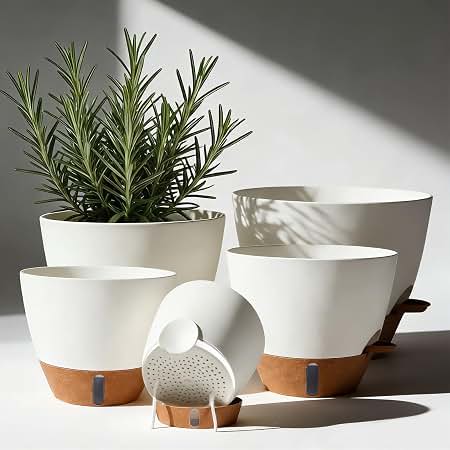 Self Watering Planters That Keep My Herbs Alive When I Forget For Days cover photo collage