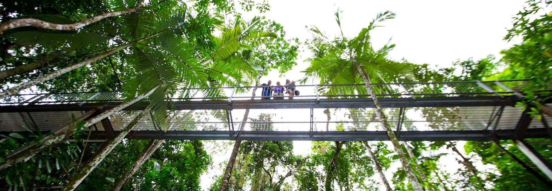 Gear I Wish I Had Before My Daintree Rainforest Walk cover photo collage