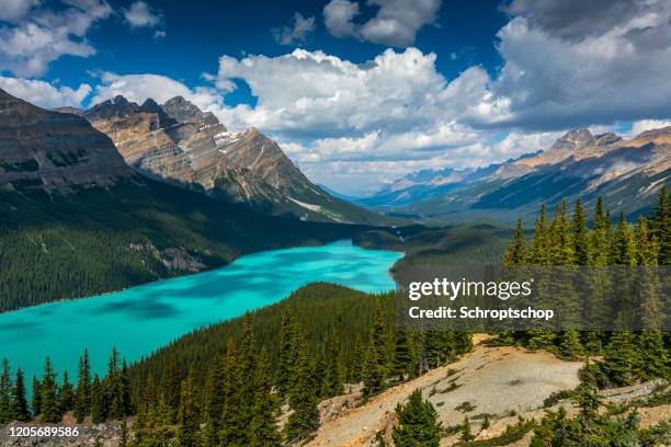 I Drove the Icefields Parkway and These Stops Blew My Mind cover photo collage