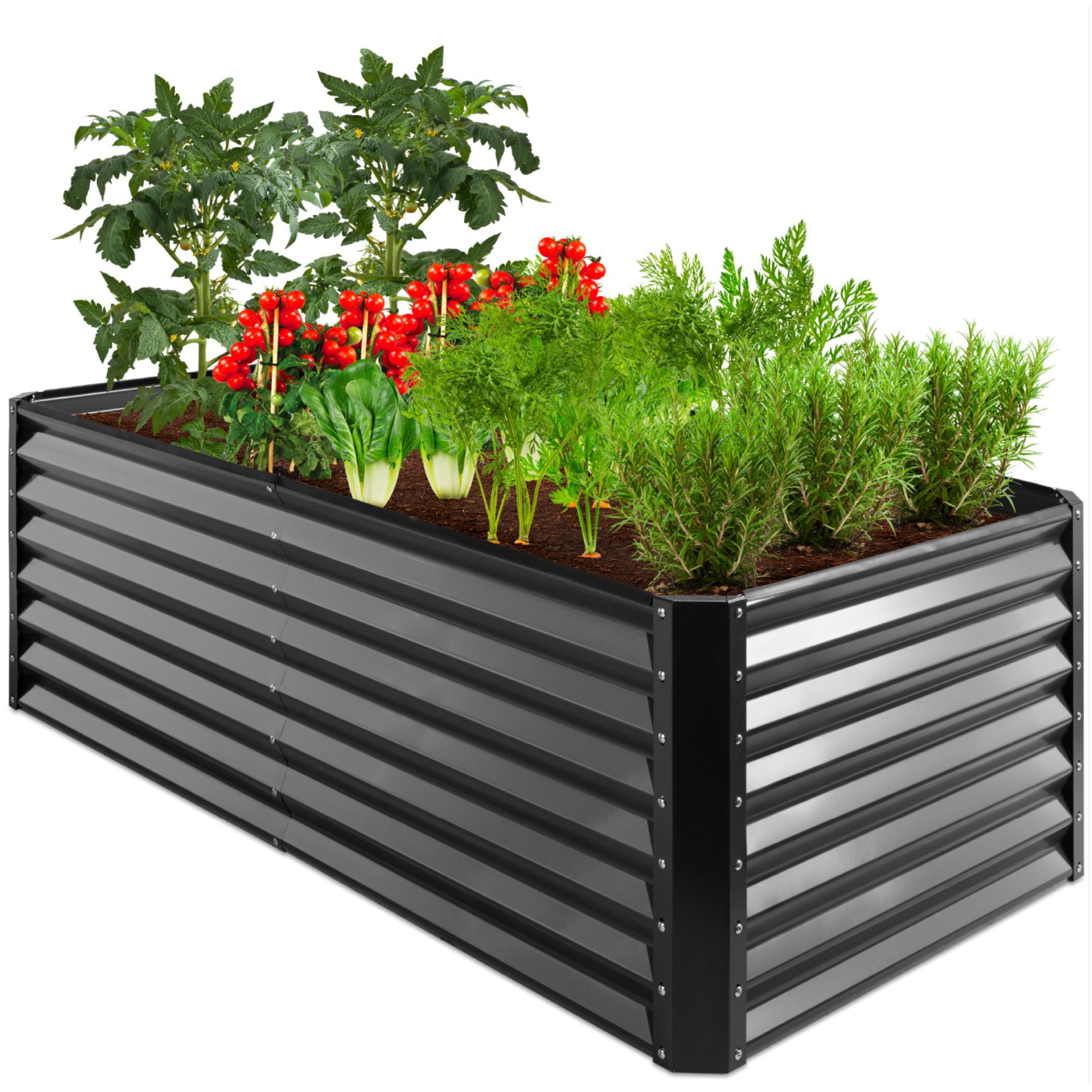 I Finally Found Slug and Snail Barriers That Actually Protect My Raised Beds cover photo collage