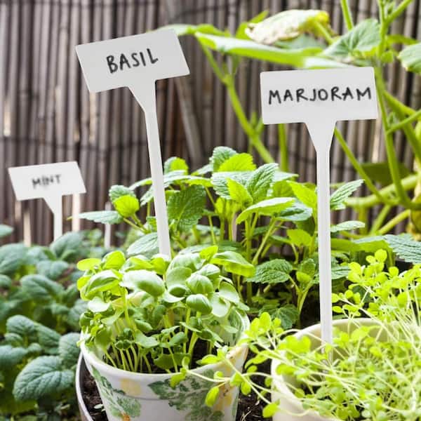 Plant Markers That Actually Survived Rain So I Know What I Planted cover photo collage