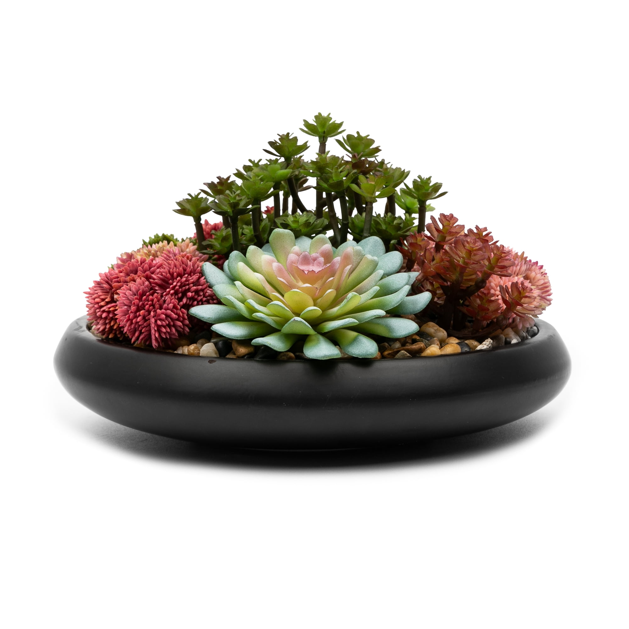 Fake Succulents I Put in Every Room and Guests Always Think They're Real cover photo collage