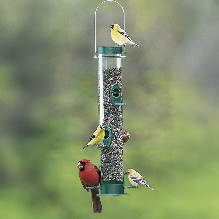 Gifts for bird lovers 2026 cover photo collage