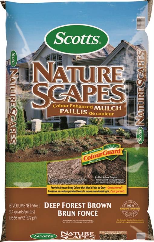 I Finally Found the Right Mulch That Keeps My Perennials Alive All Winter cover photo collage