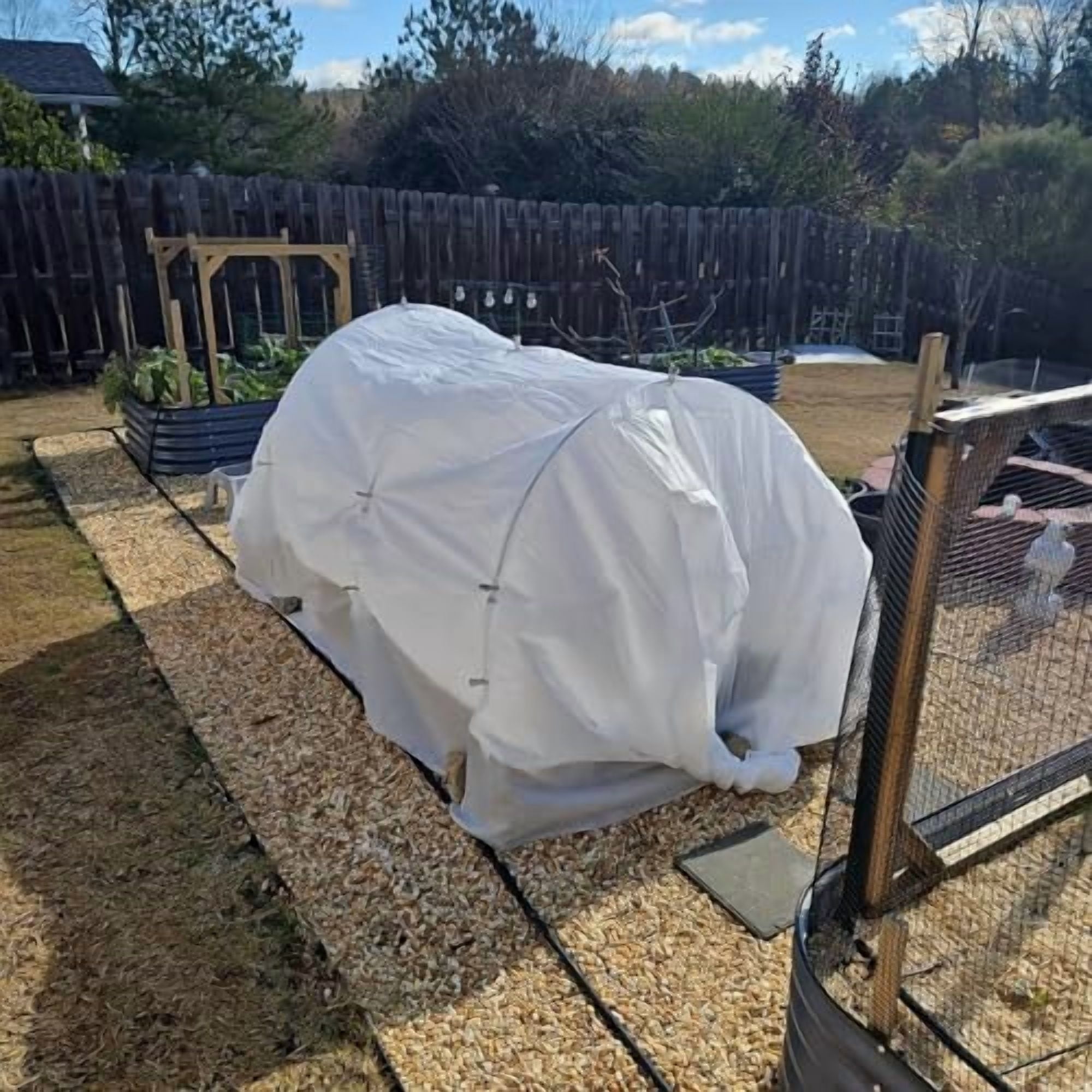 Row Covers and Garden Barriers That Actually Stopped Bugs From Destroying My Broccoli cover photo collage