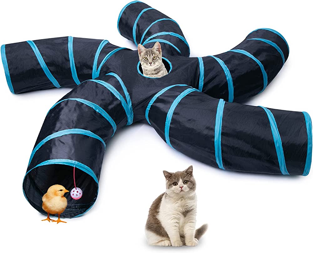Must have pet supplies! cover photo collage