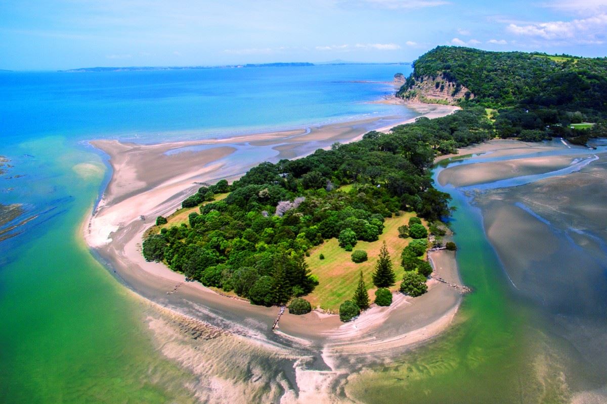 Cool places to visit in Auckland, NZ  cover photo collage